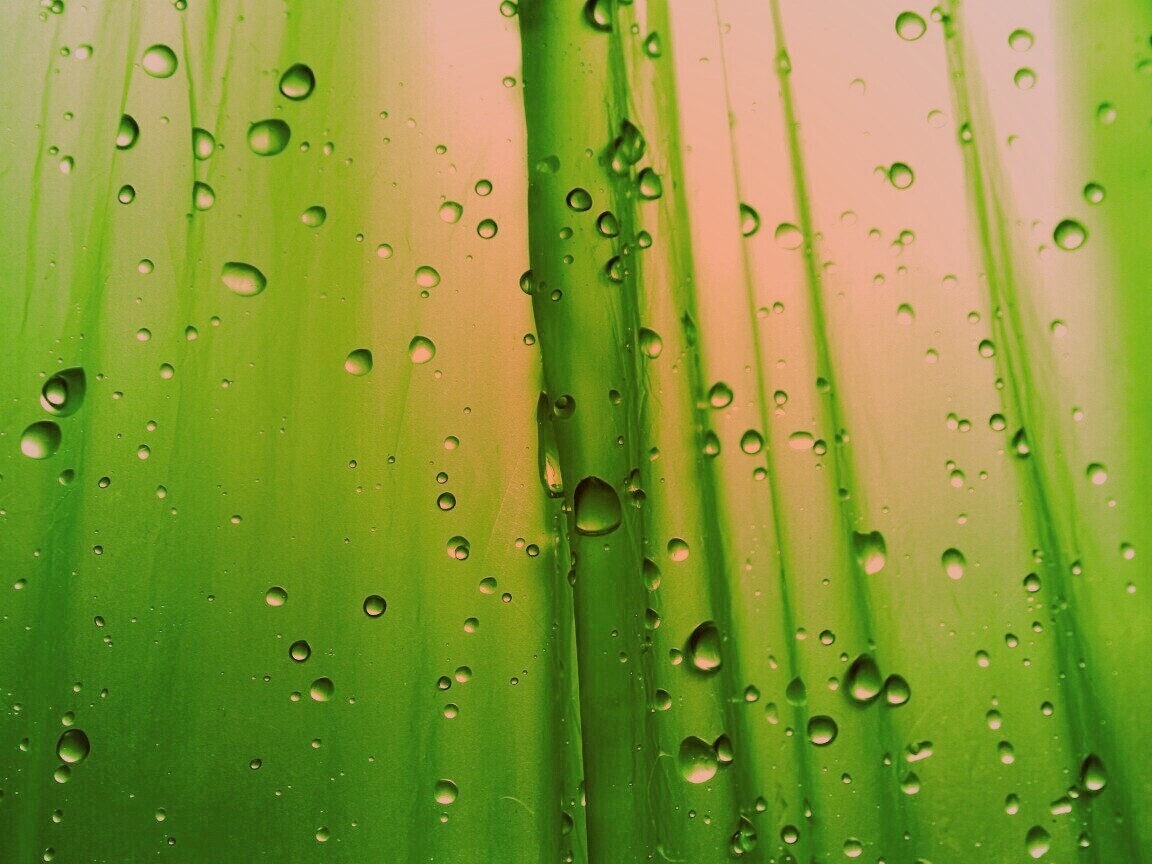 Капли на зеленом пластике обои