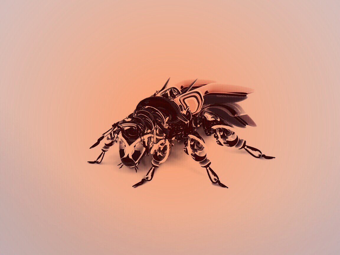 Кибер муха обои