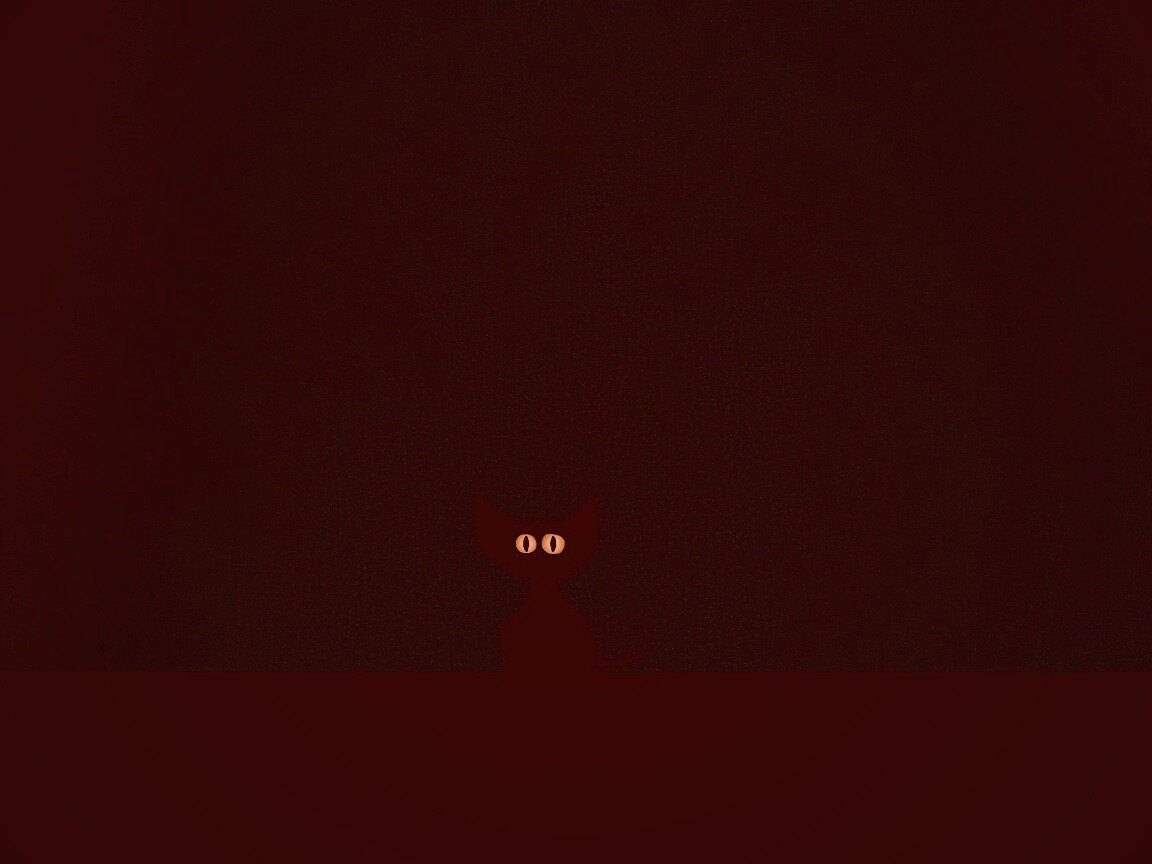 Чёрный кот в ночи обои