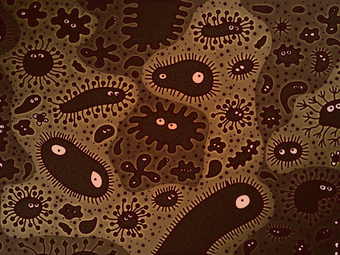 Микроорганизмы обои