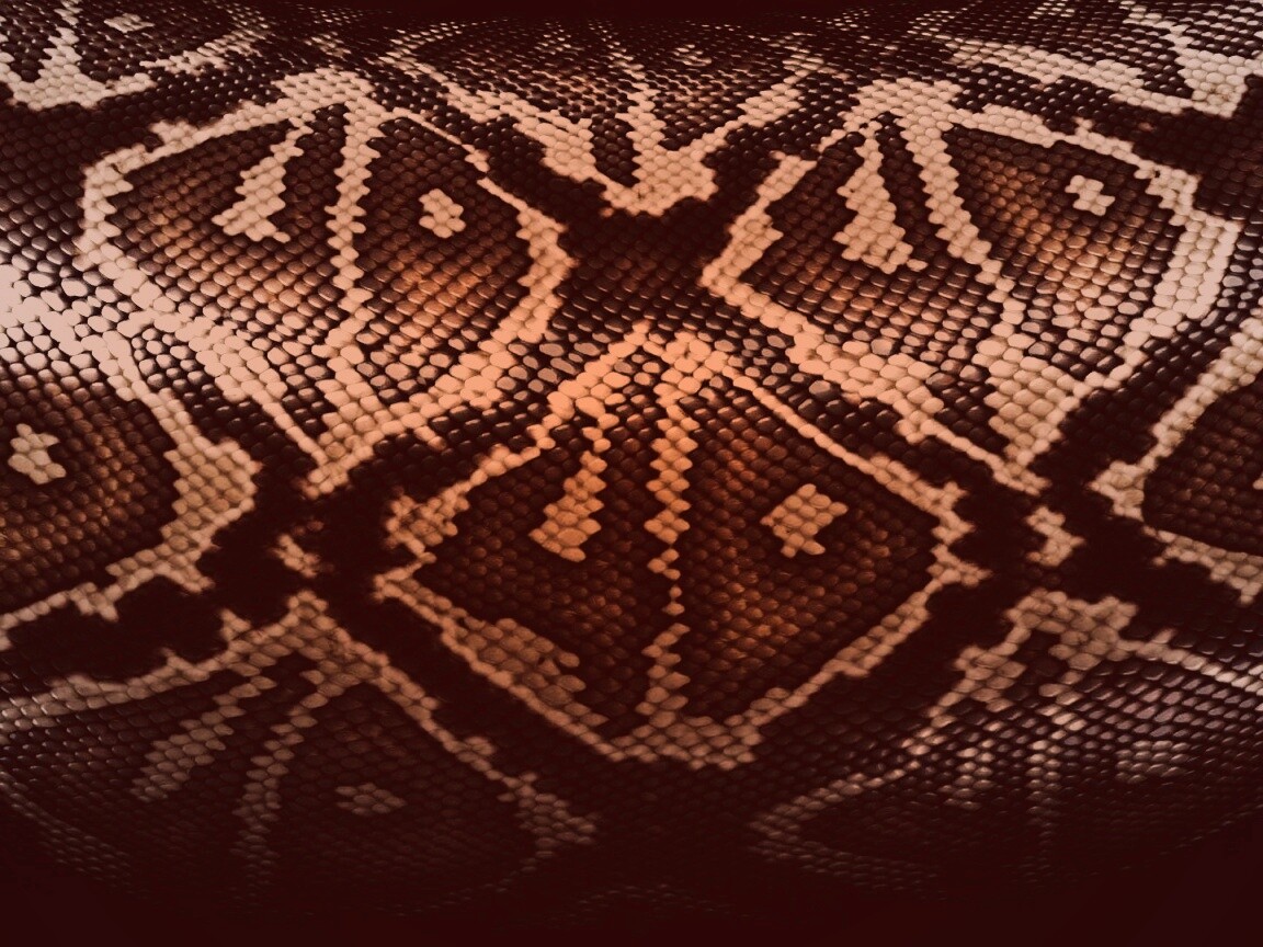 Змеиная кожа обои