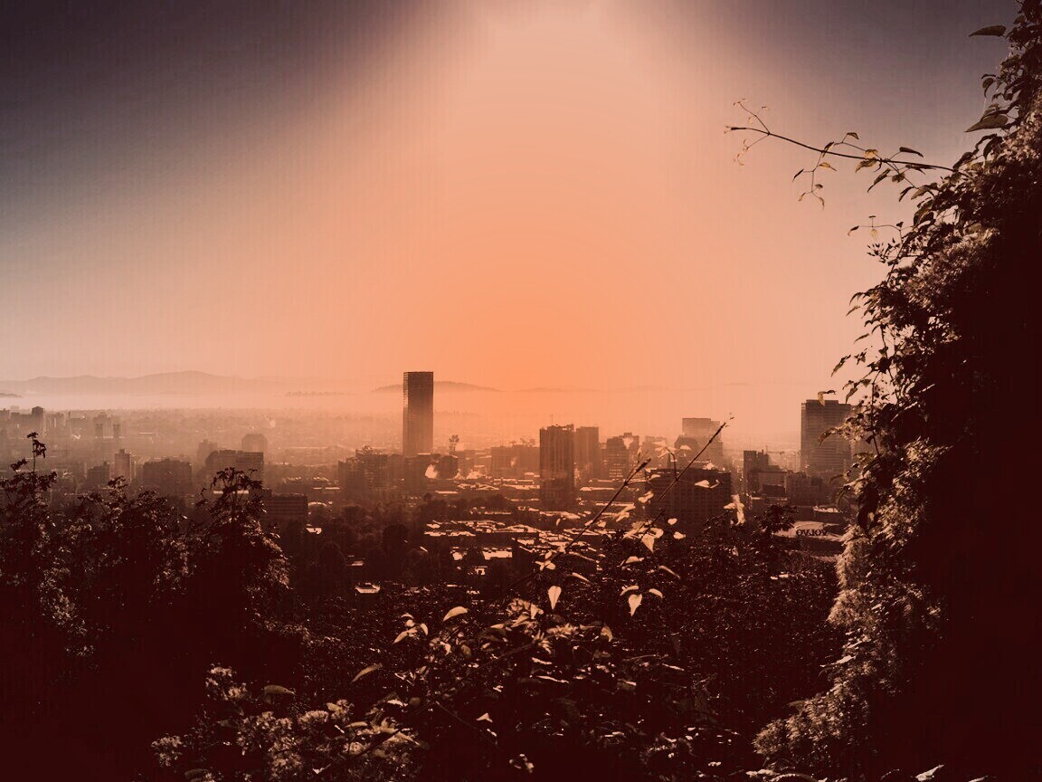 Утро в раю обои