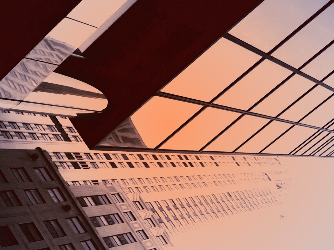 Взгляд вверх обои