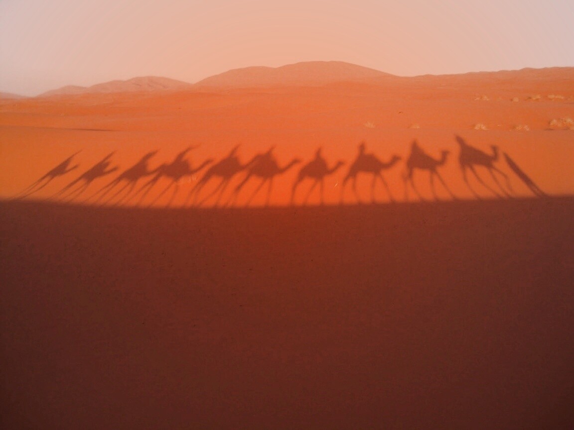 Караван обои