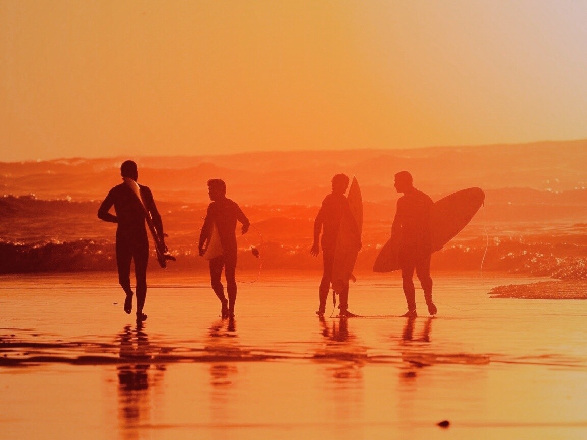 Серфингисты обои