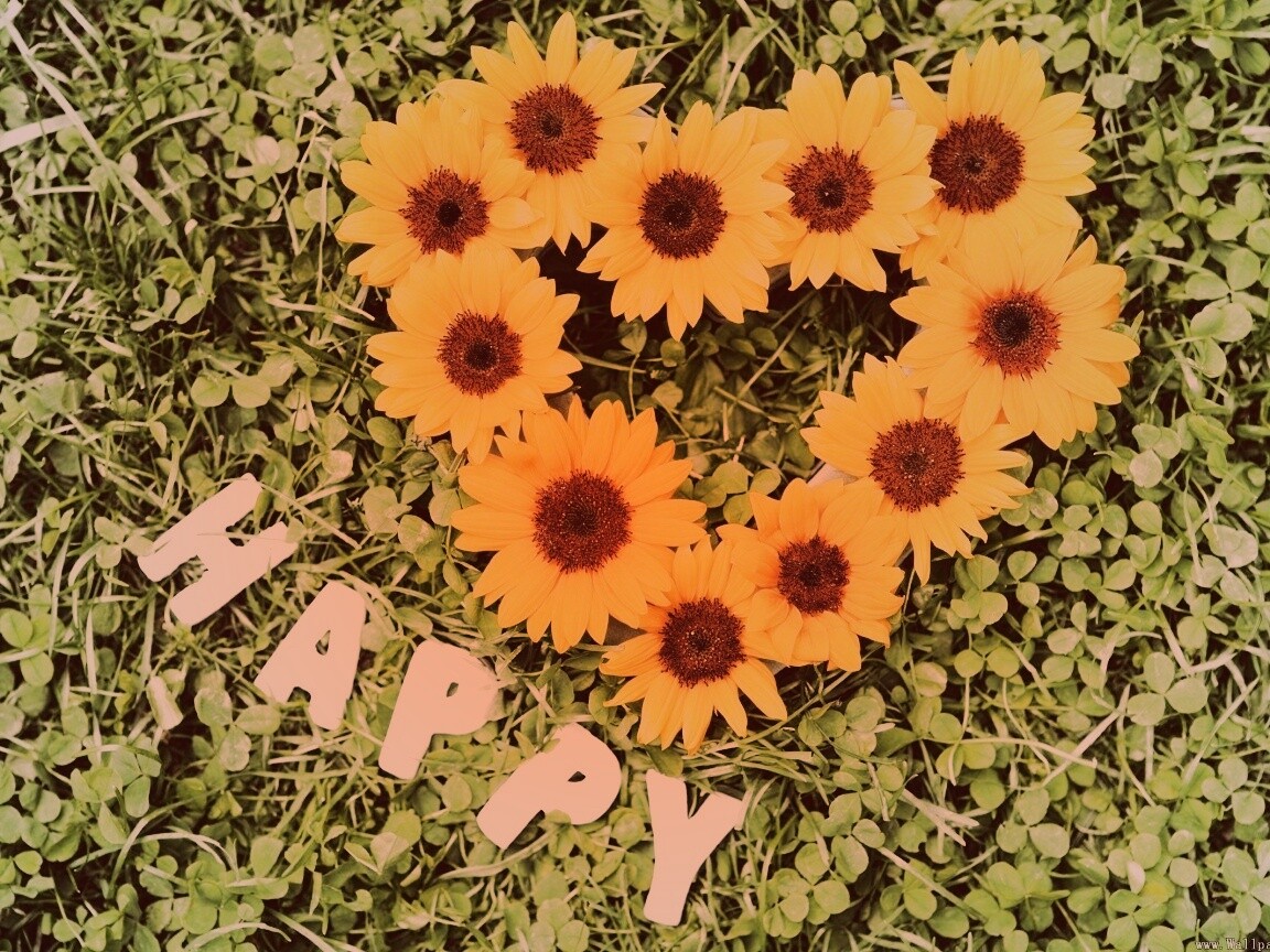 Радость обои