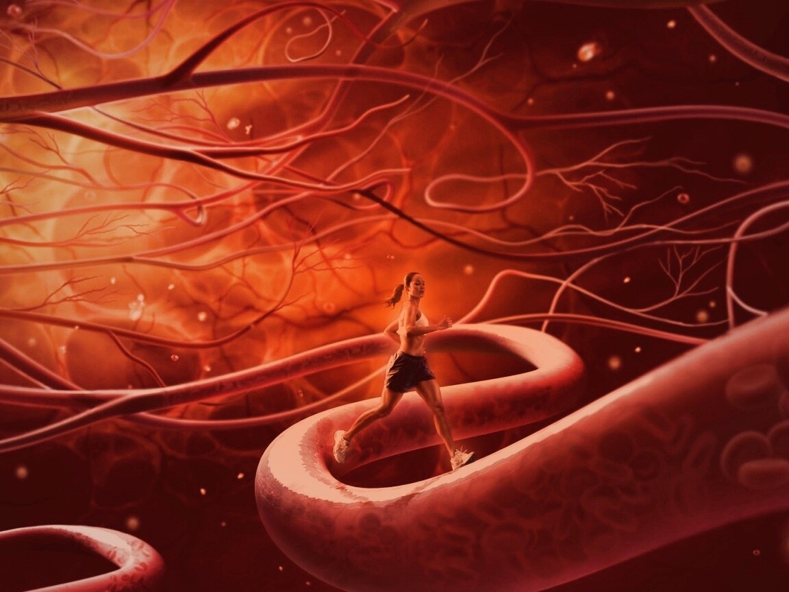 Бег крови обои