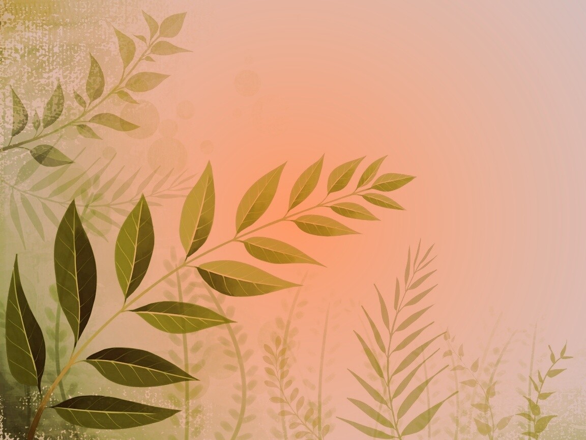 Веточка молодых листьев обои