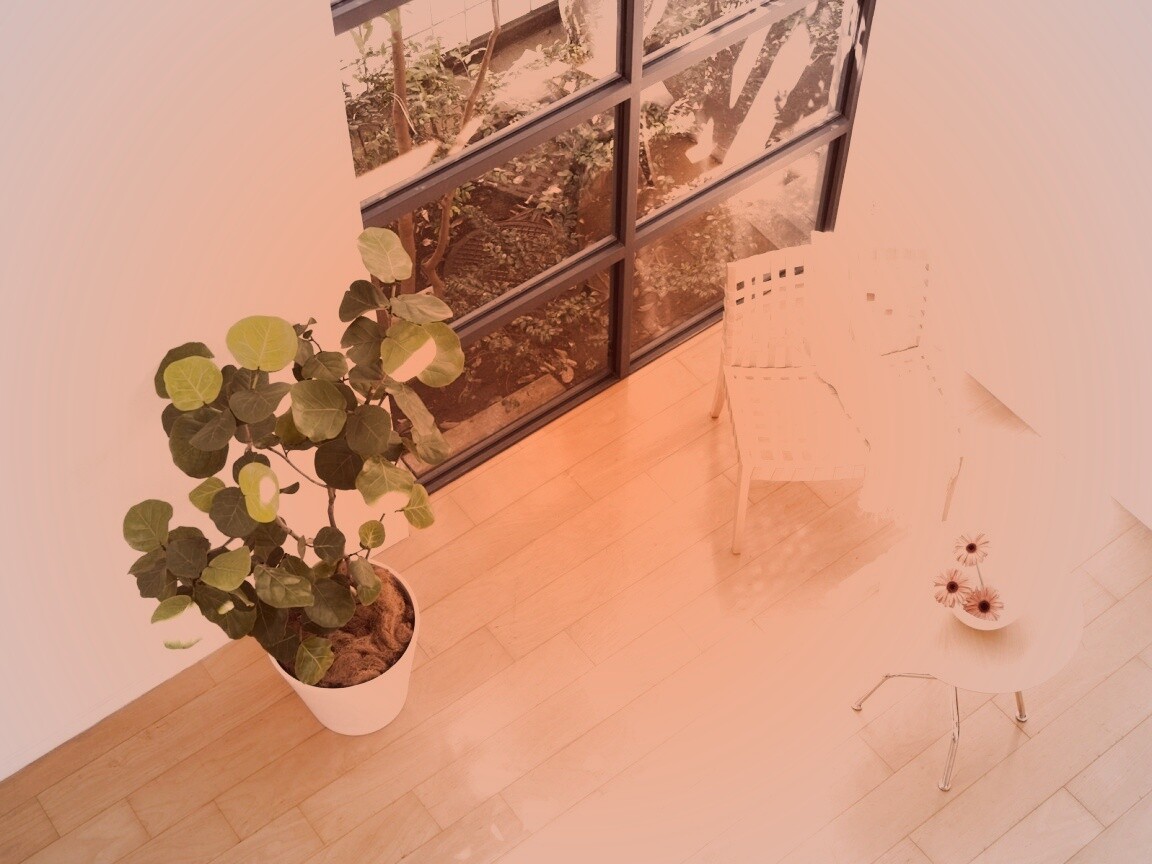 Стул, столик и цветы в комнате обои