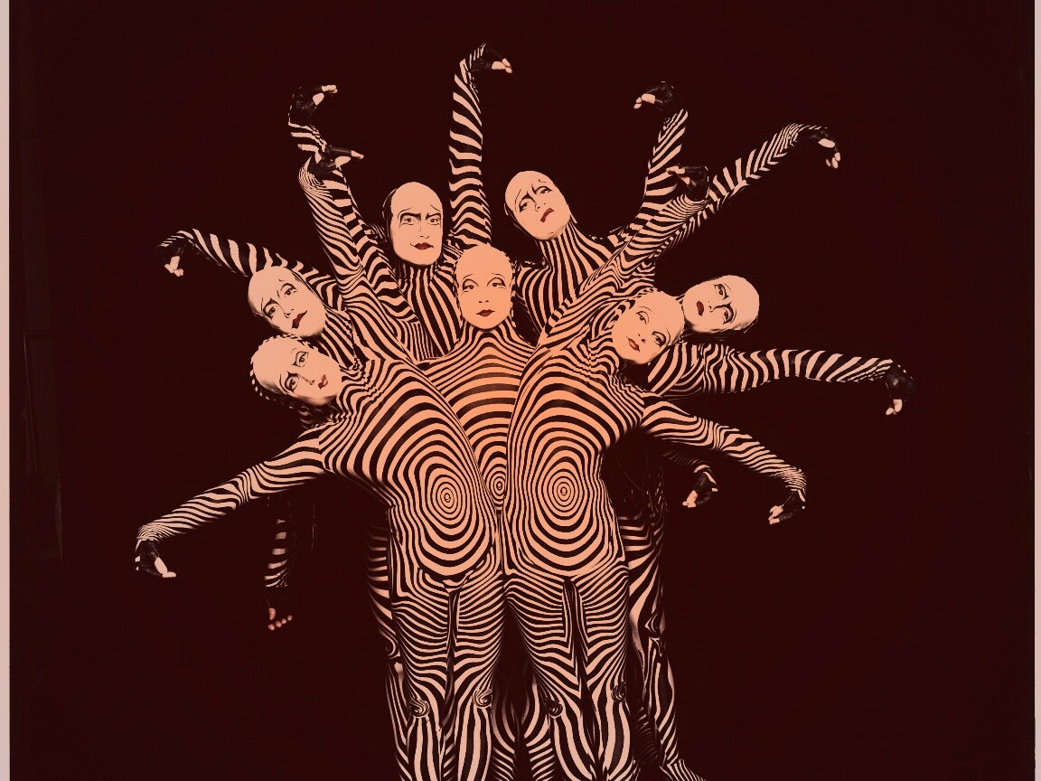 Зеброиды (актеры цирка дю солей) обои