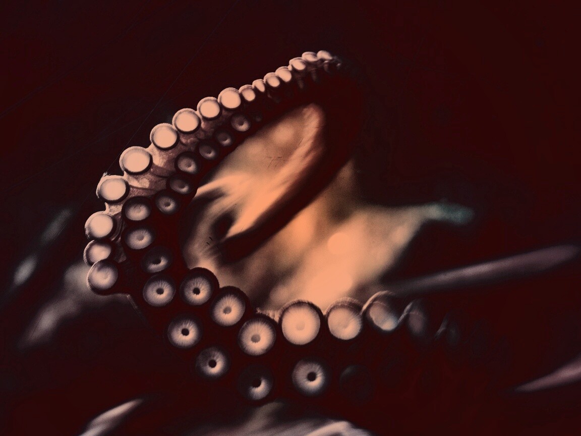 Щупальце обои