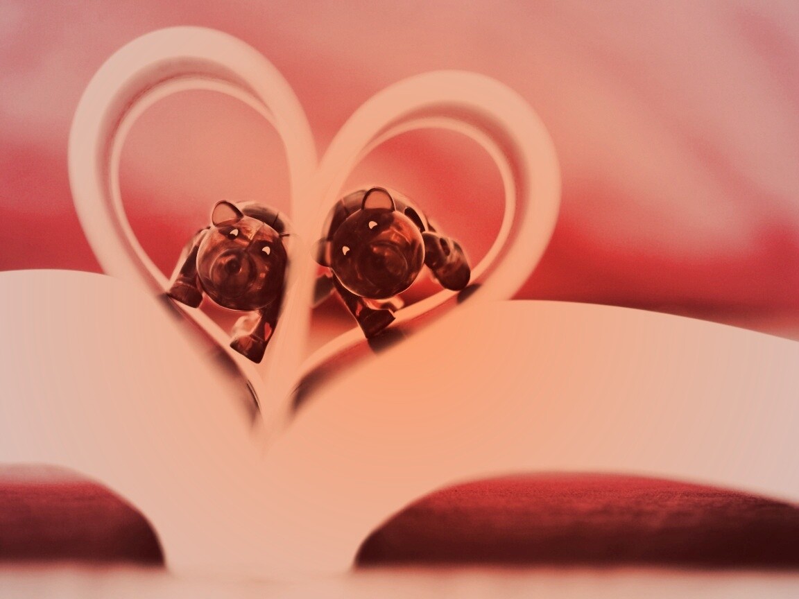 Фигурки мишек в книге обои