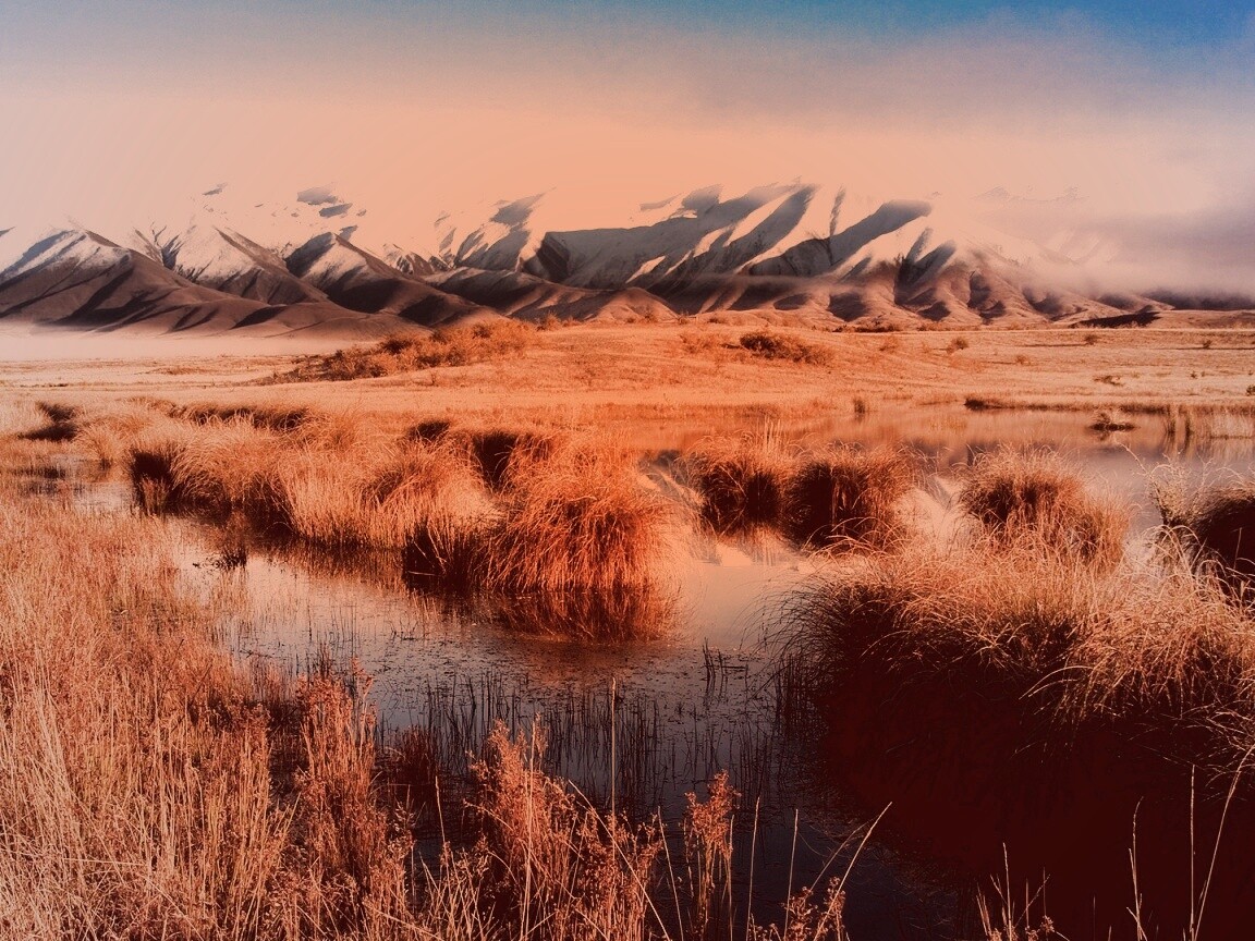 Болото и снежные горы обои