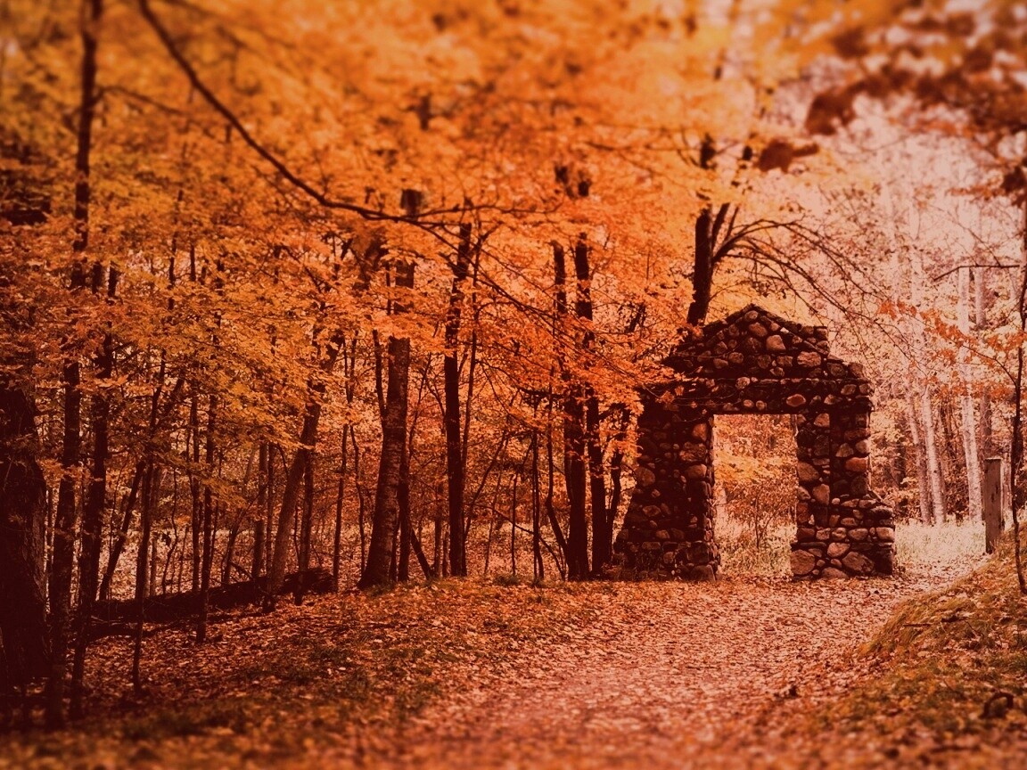 Каменная арка в осеннем лесу обои