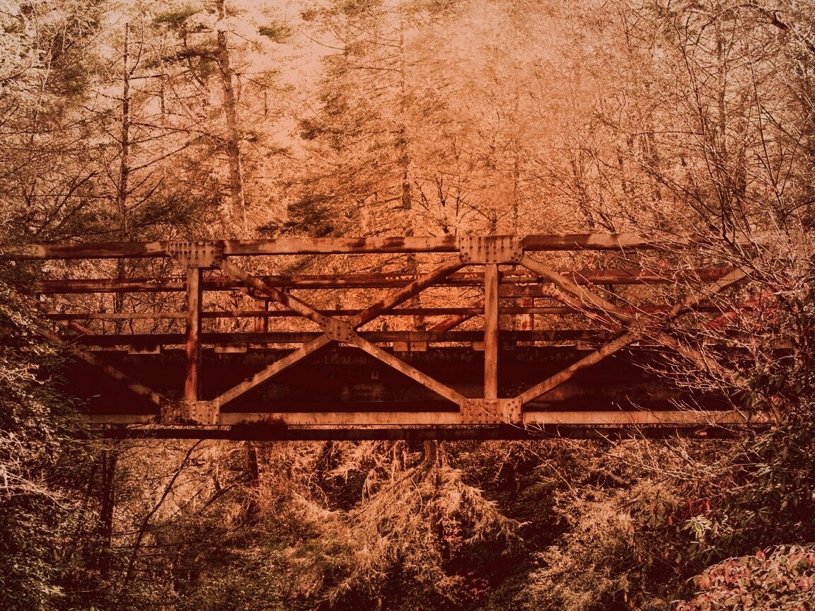 Металлический мост в лесной глуши обои