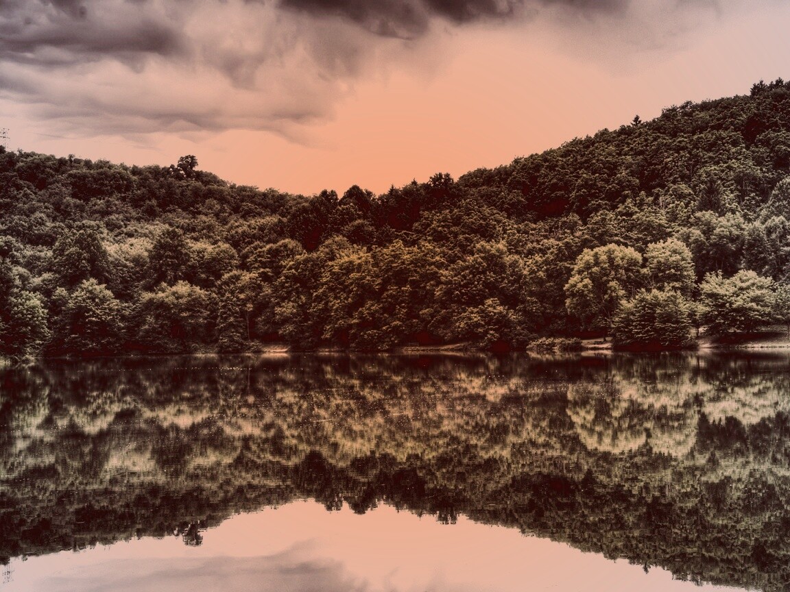 Лесной берег обои