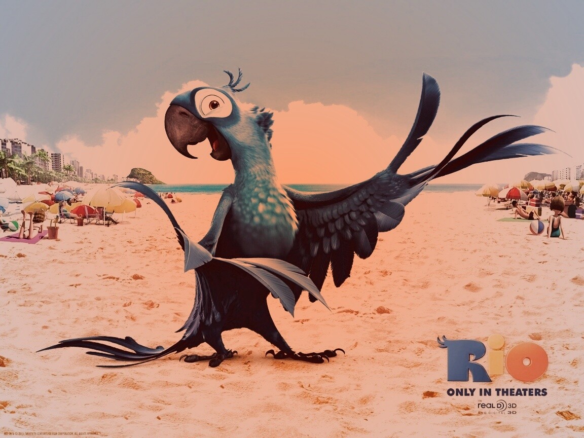 Blu из Rio обои