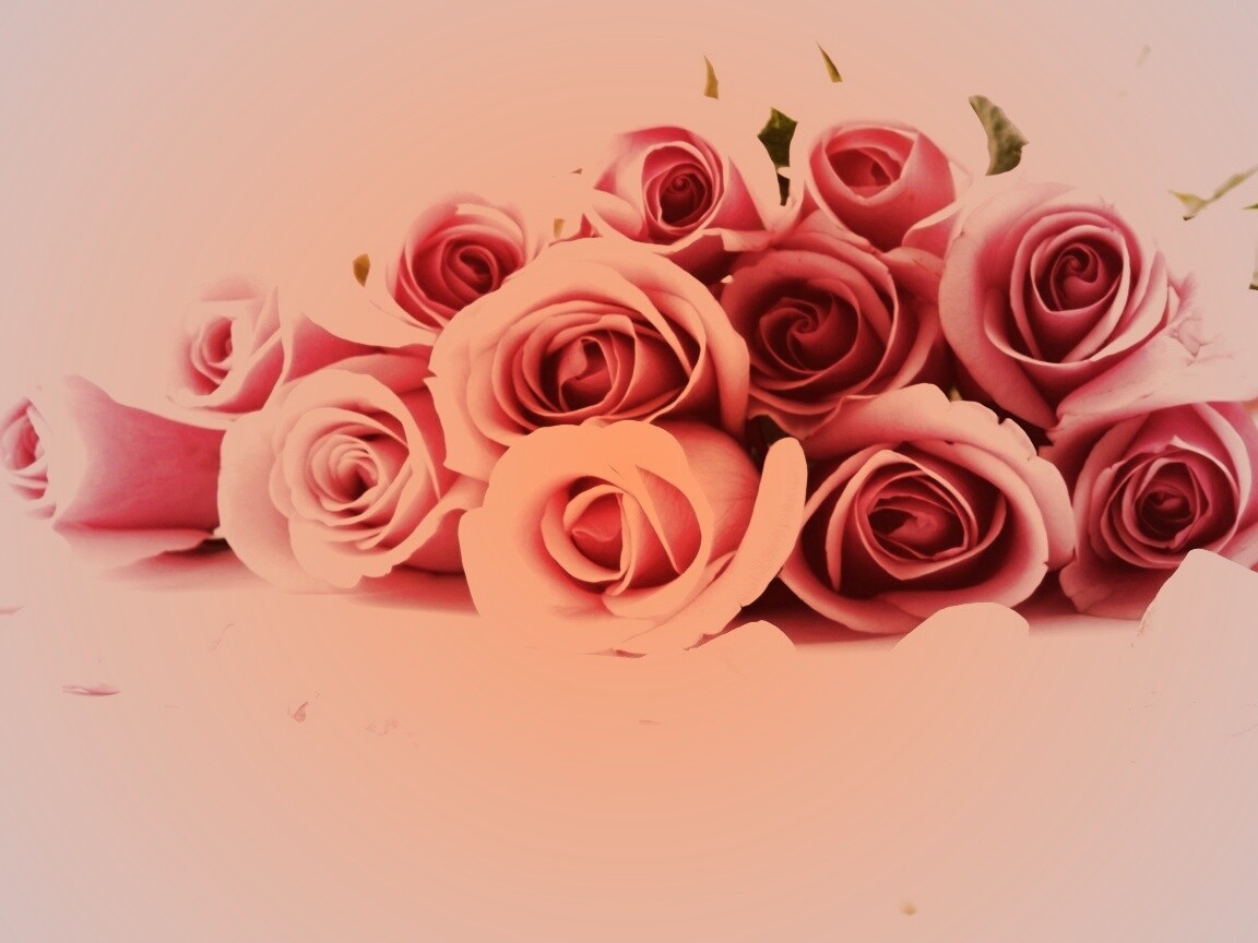 Букет роз обои