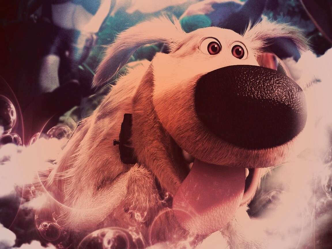 Собака из мультфильма Up обои