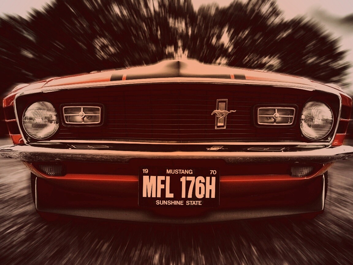 Мустанг обои