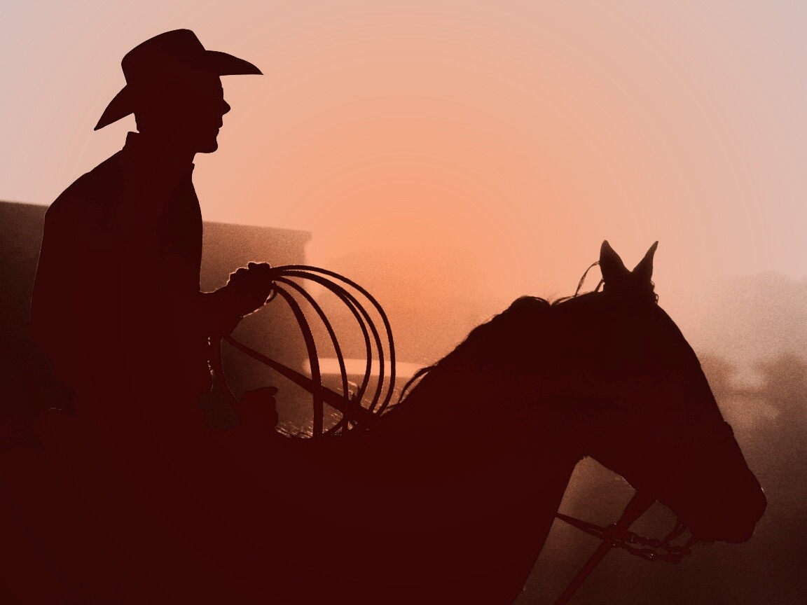 Ковбой с лассо на коне обои