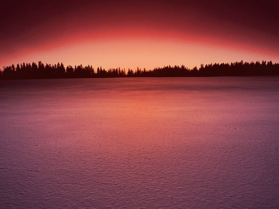 Восход над заснеженным лесом обои