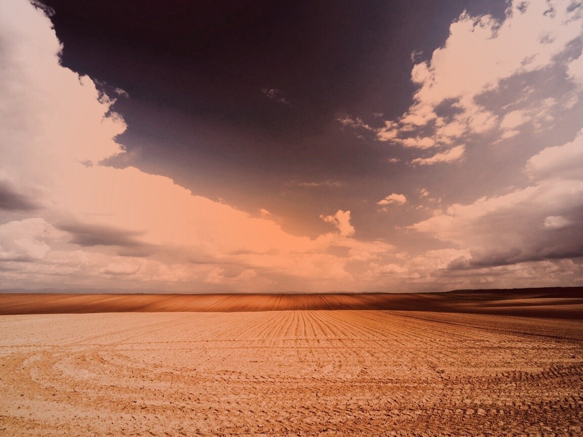 Незасеянное поле обои