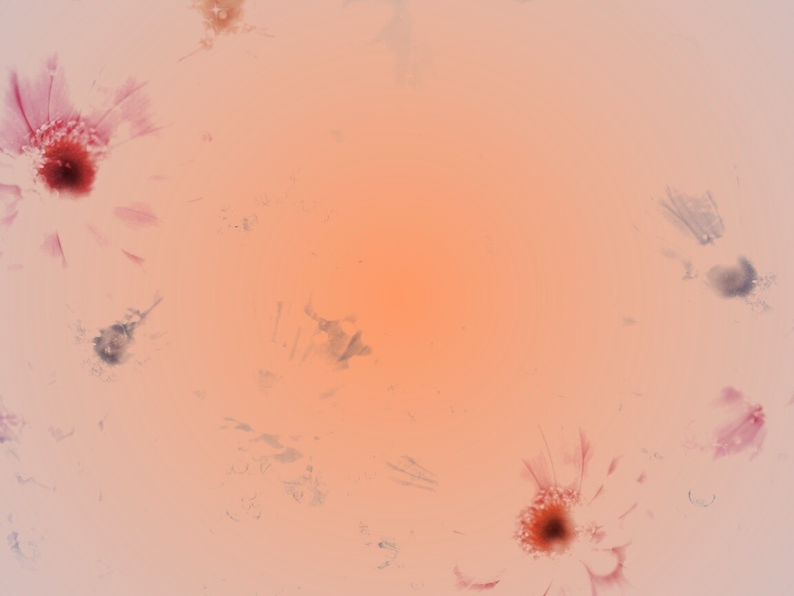 Цветочная эйфория обои