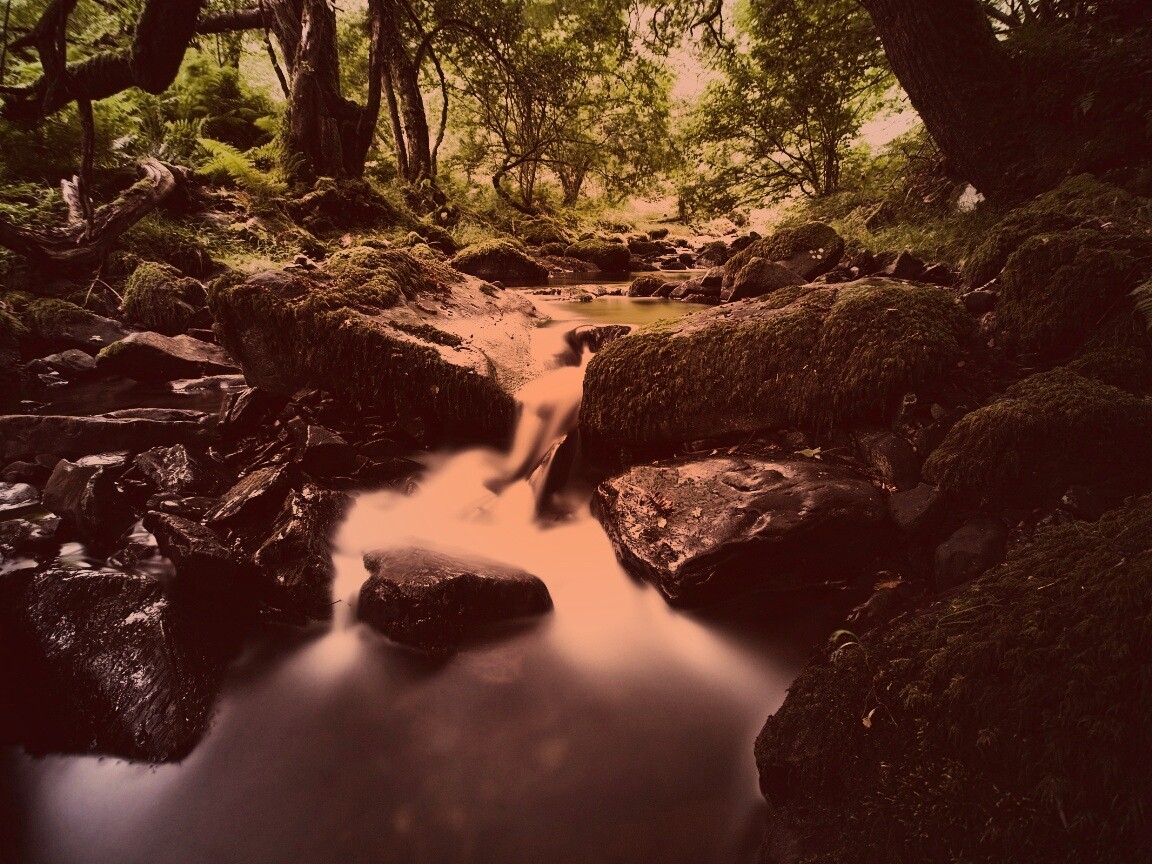 Речной поток в лесу обои