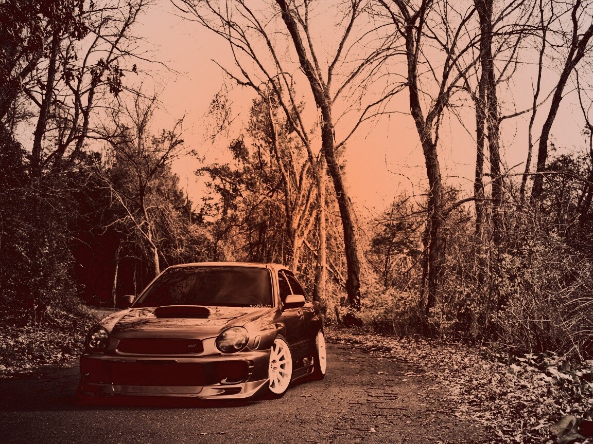 Субару Импреза на лесной дороге обои