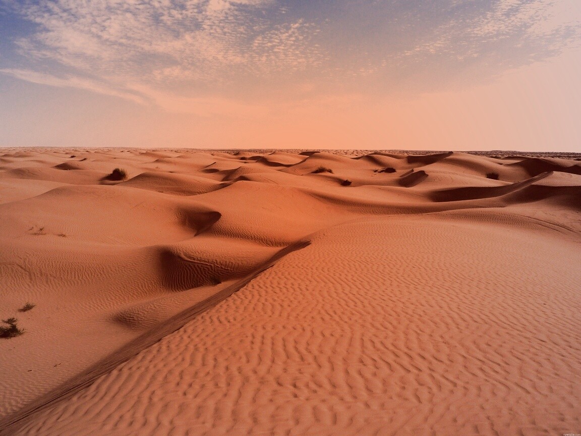 Пустыня до самого горизонта обои