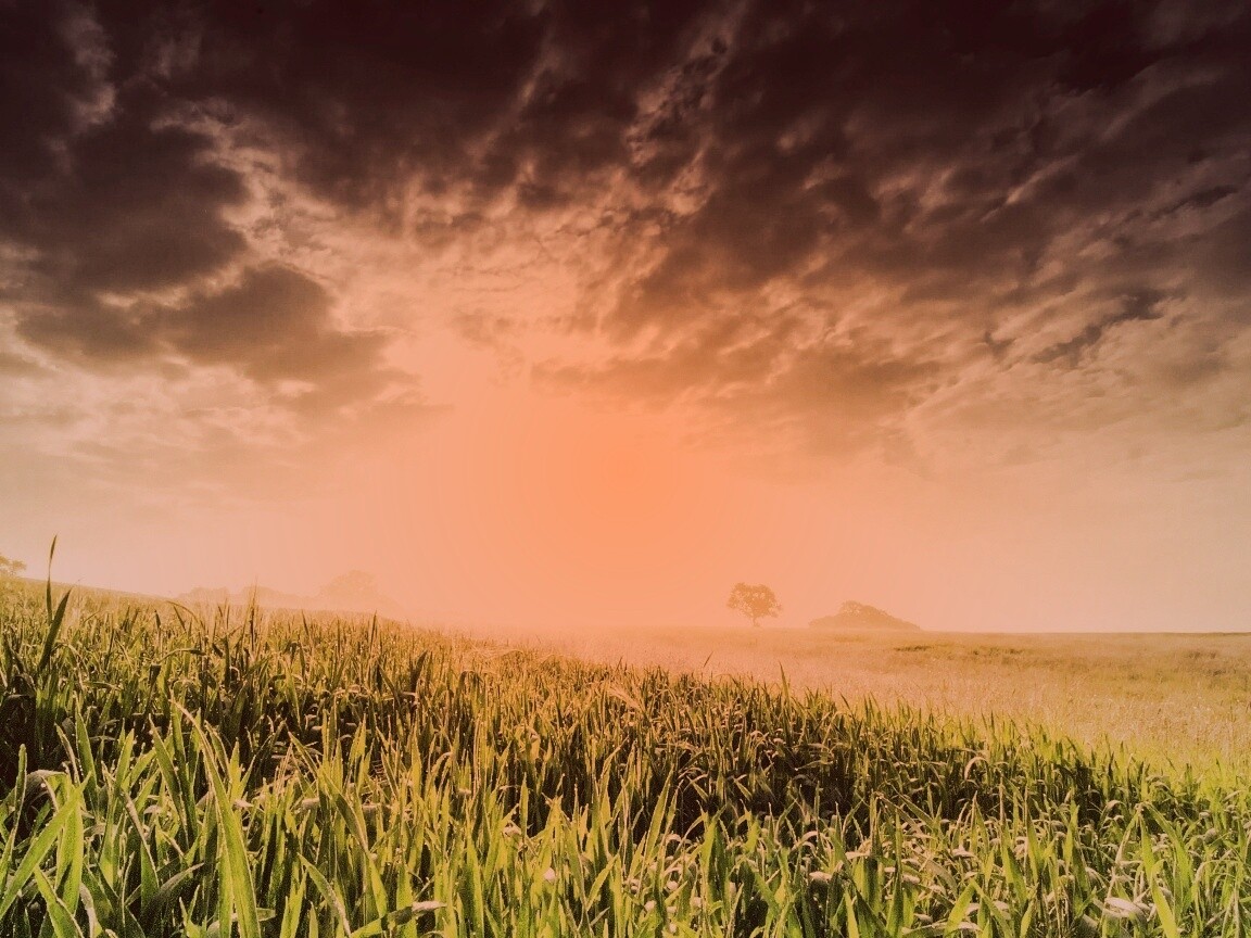 Безмятежность обои