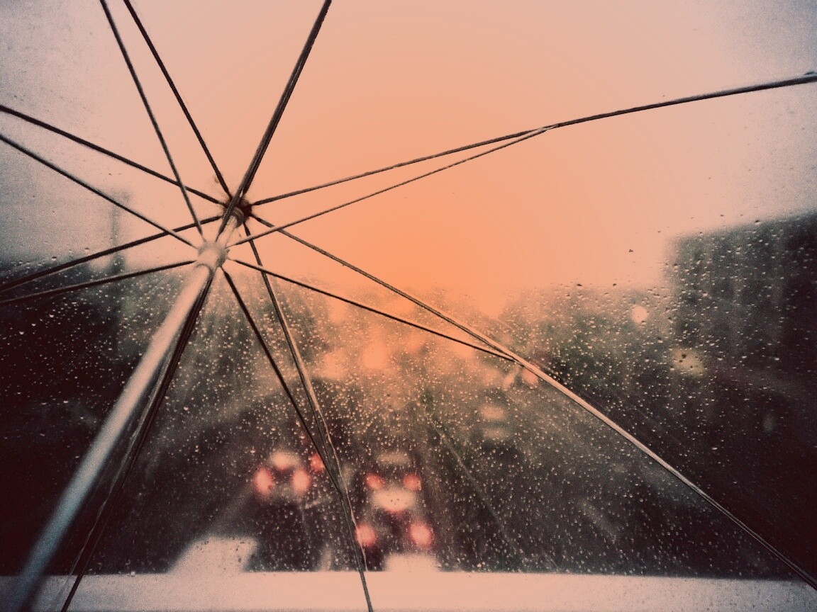 Вид сквозь прозрачный зонтик обои