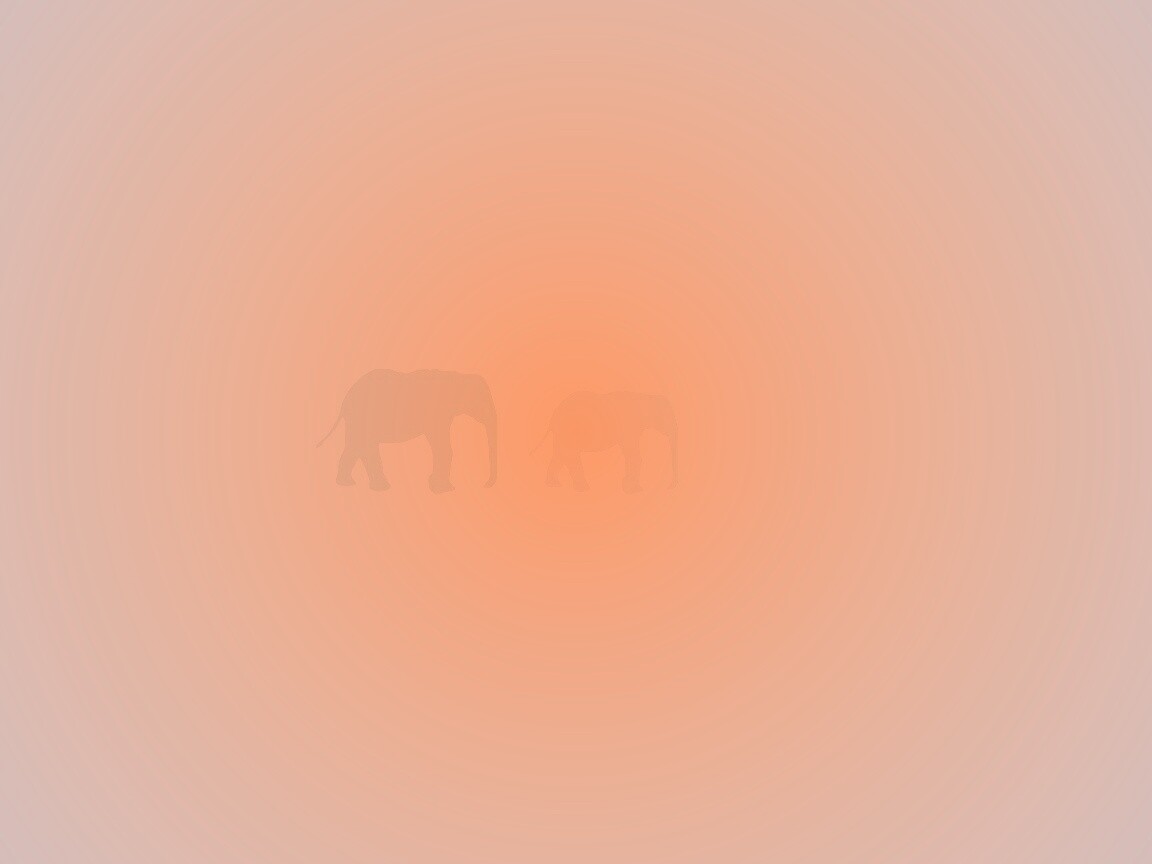 Вереница слонов обои