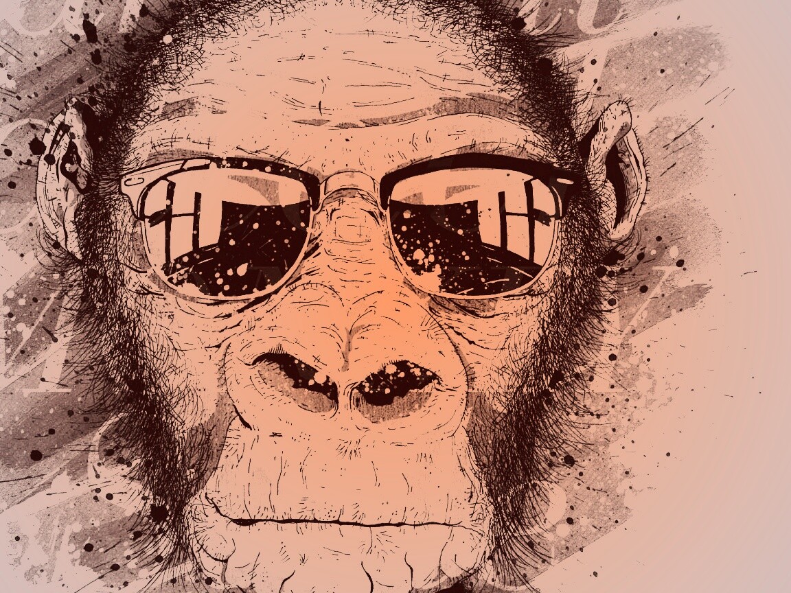 Макака в очках обои