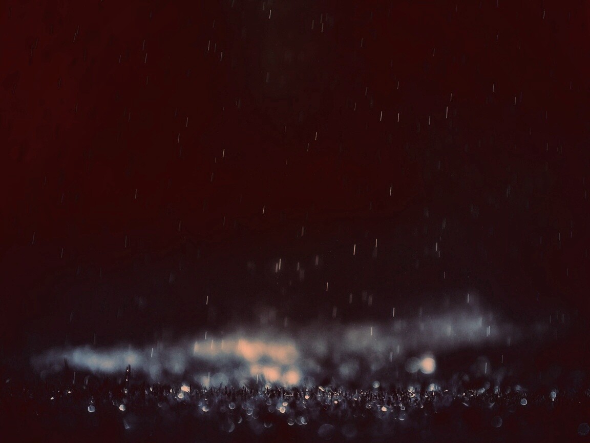 Макро фото дождя обои