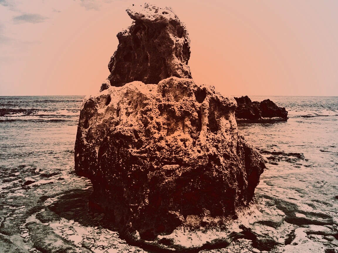 Коралловый риф обои