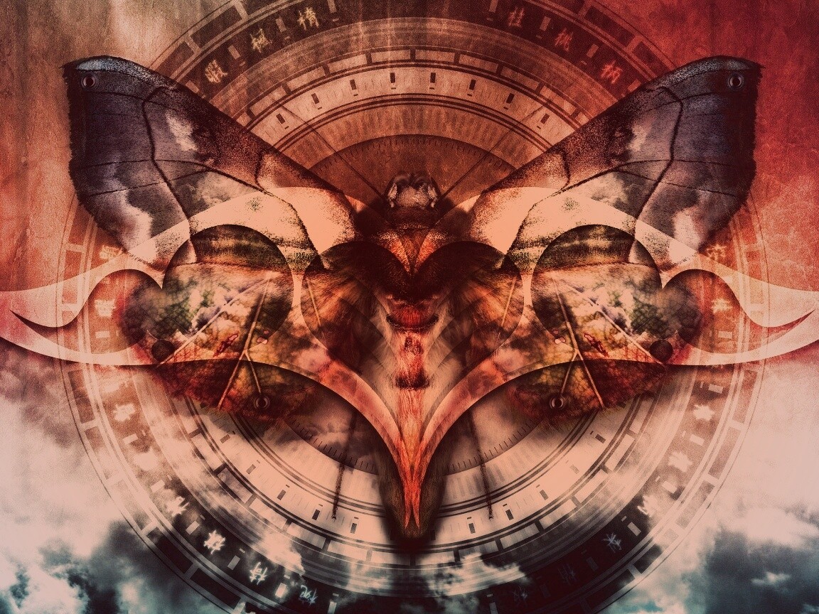 Красивая фэнтезийная бабочка обои