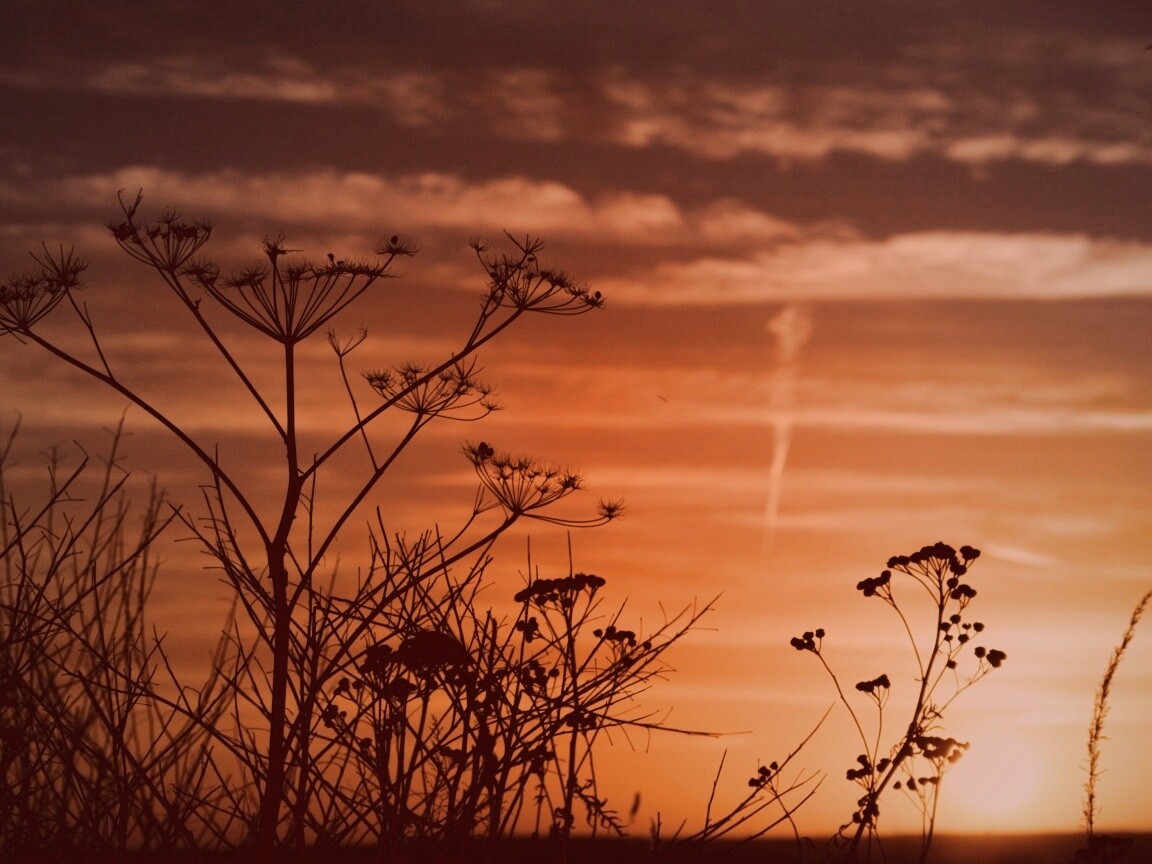 Степной закат обои