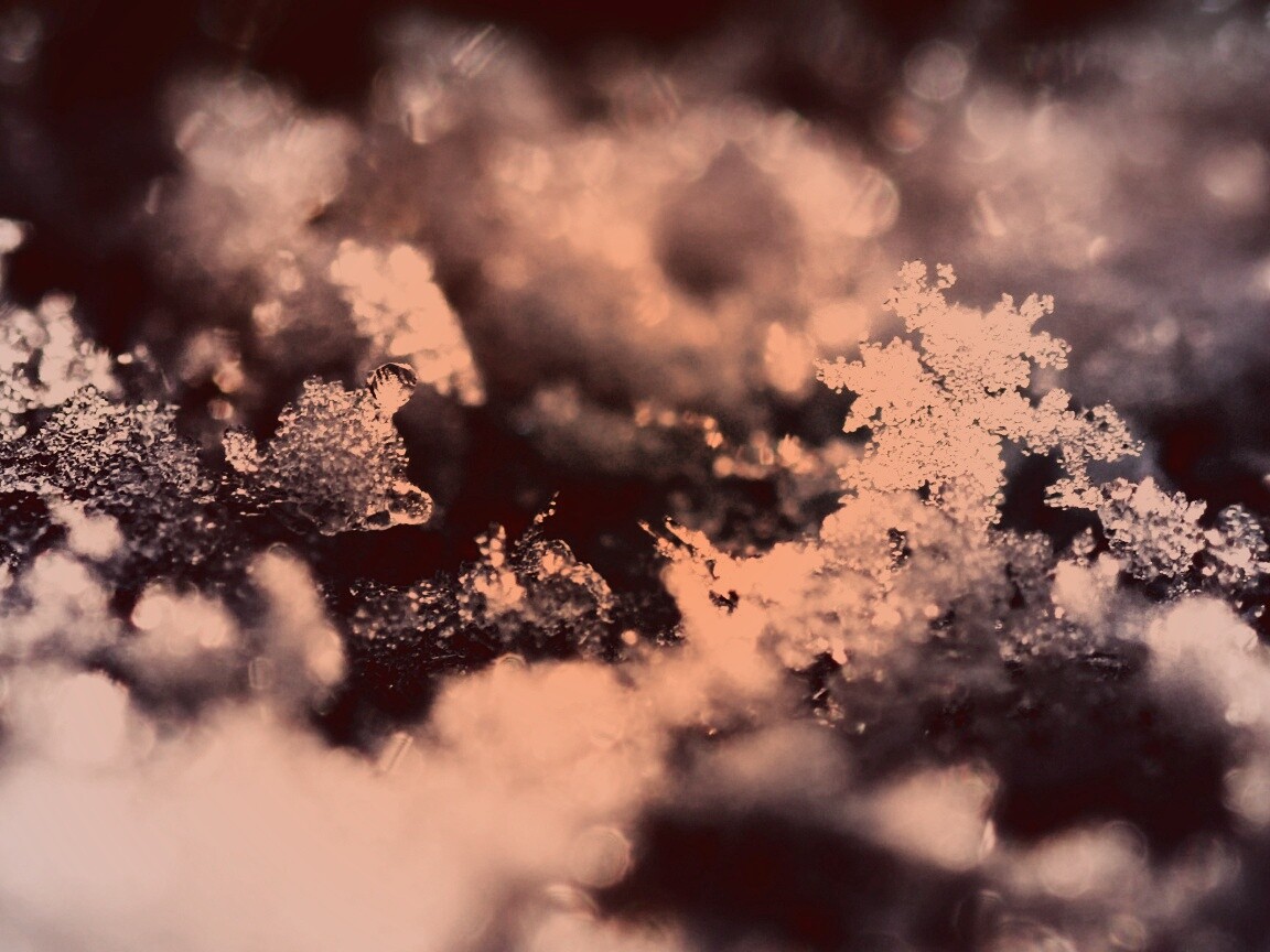 Макро фото снега обои