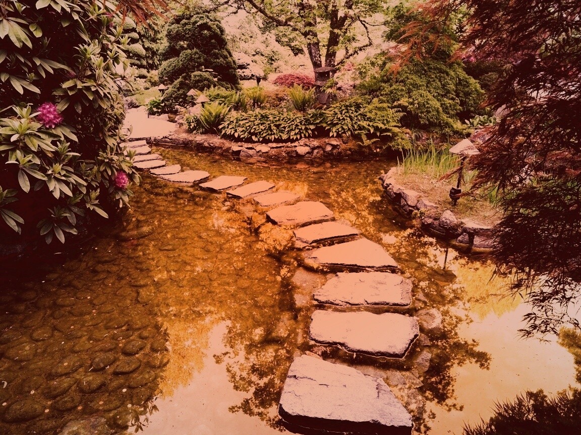 Дорожка через пруд обои