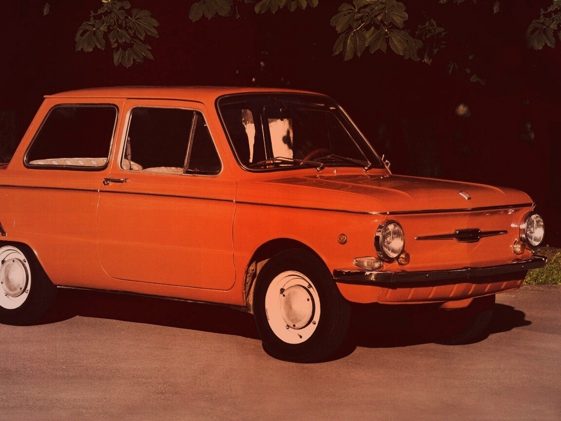 Оранжевый ушастый запорожец обои