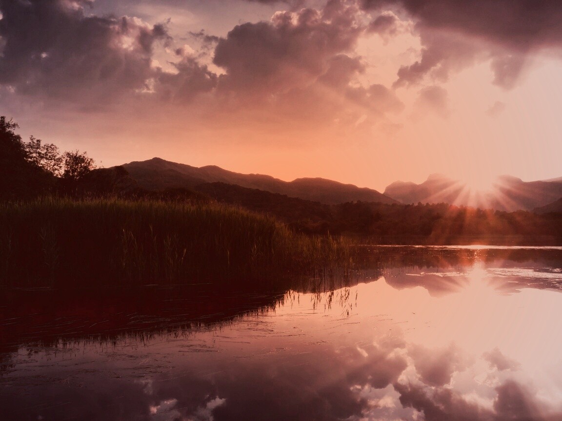 Закат за лесом обои