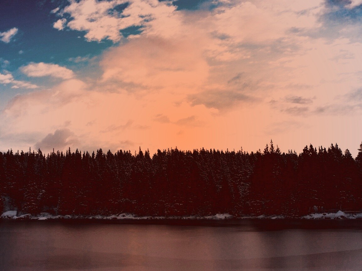 Лес на озере обои