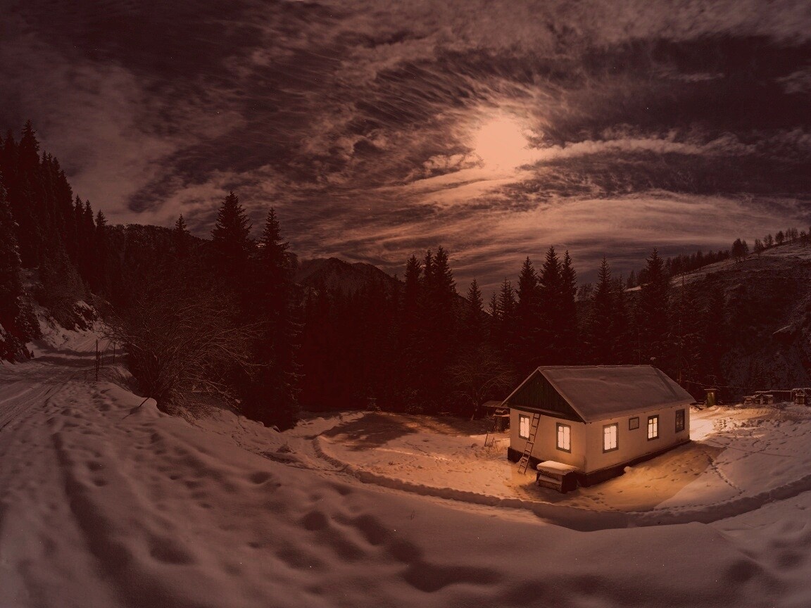 Один в зимнем лесу обои