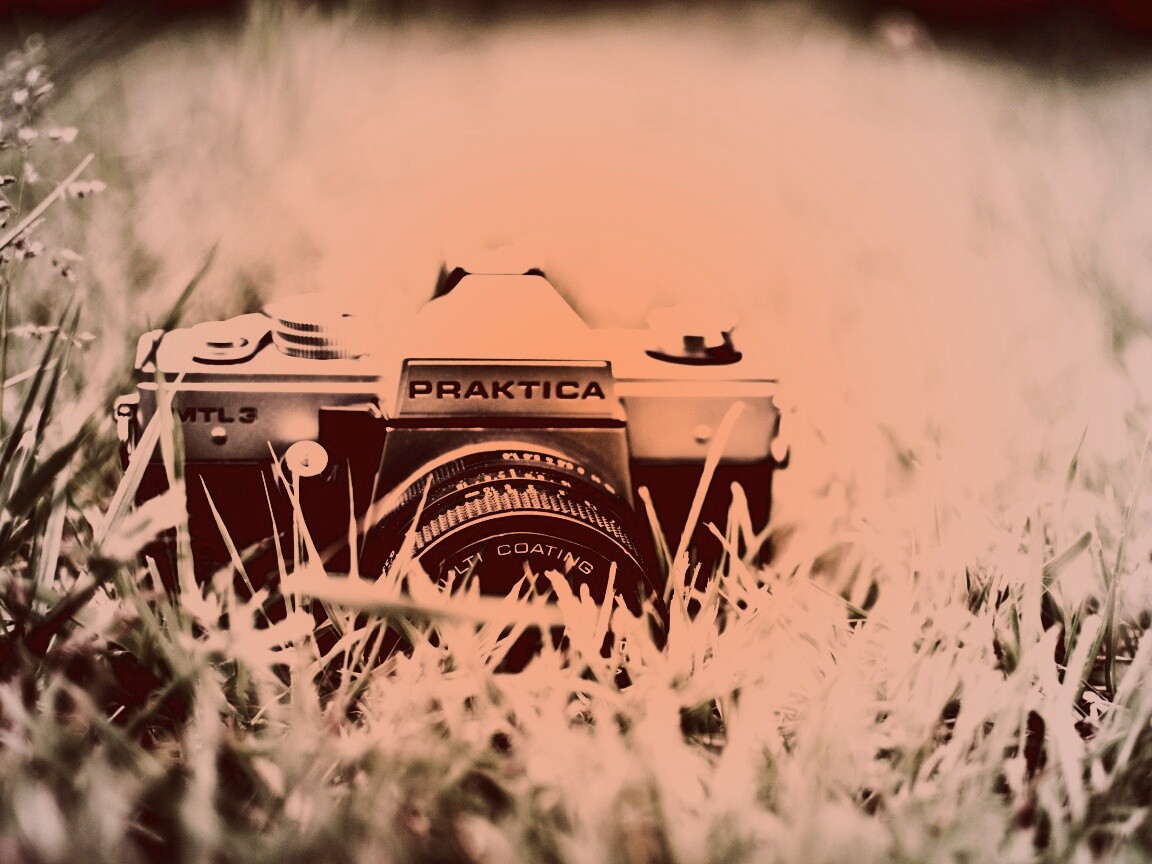 Фотоаппарат Praktica в траве обои