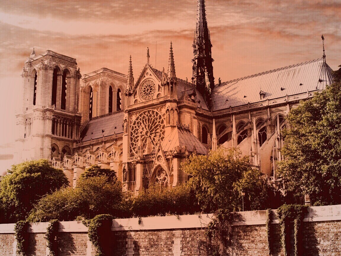 Собор парижской Богоматери обои