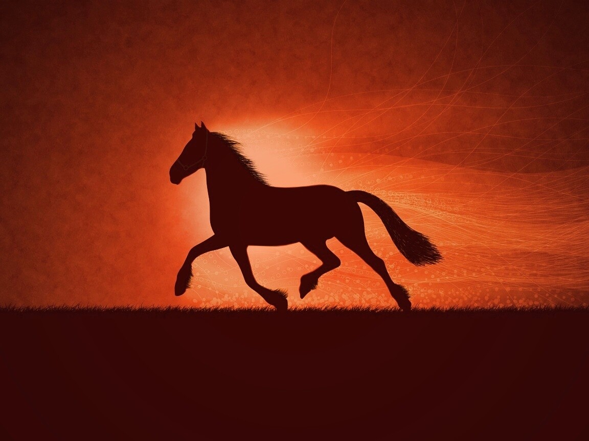 Силует коня на закате обои