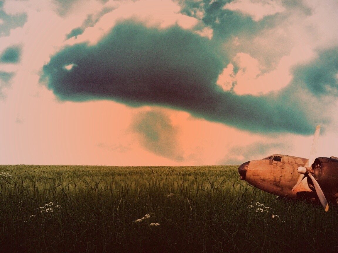 Старый ржавый самолет на лугу обои