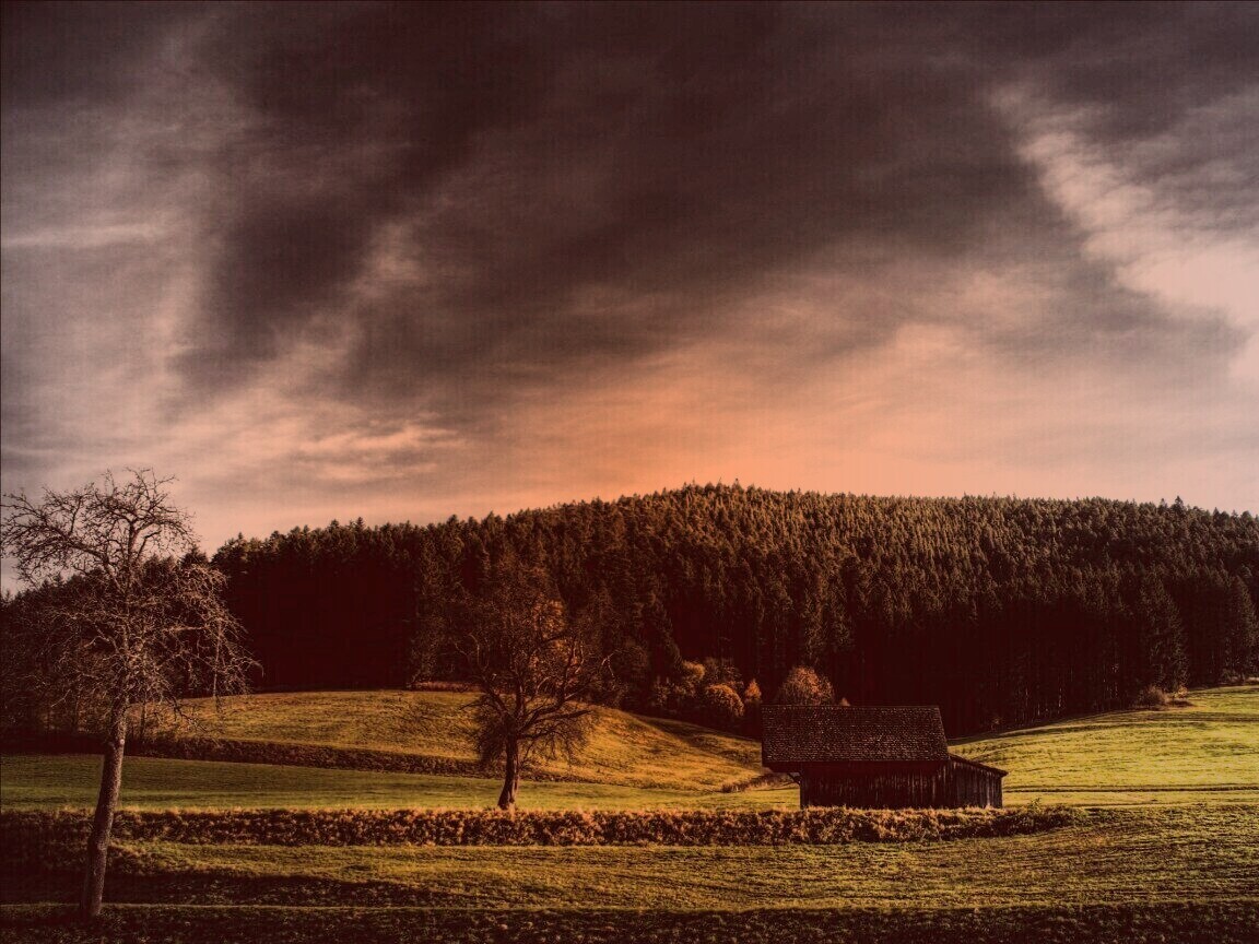 Домик в поле обои